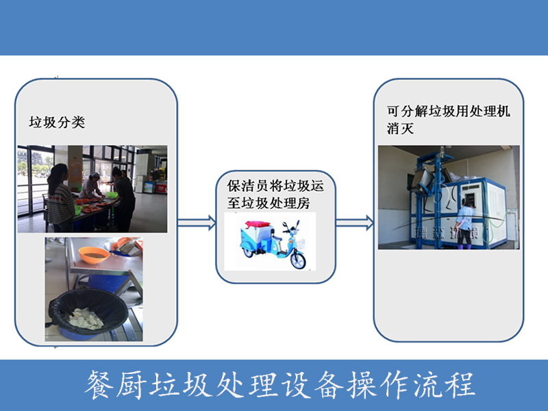 蓝月亮精准大全