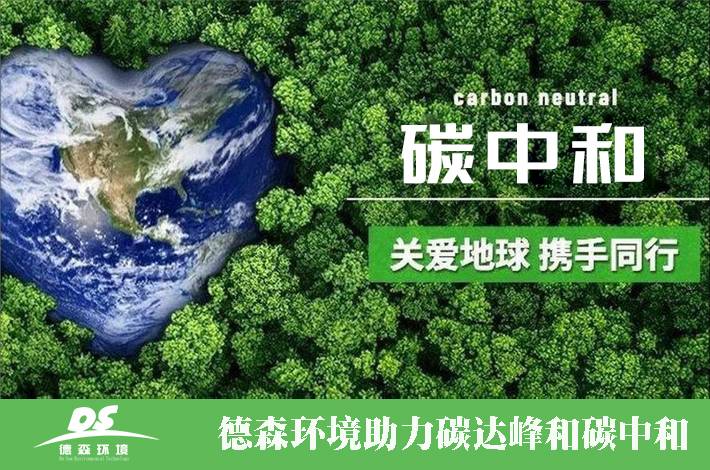 蓝月亮精准大全