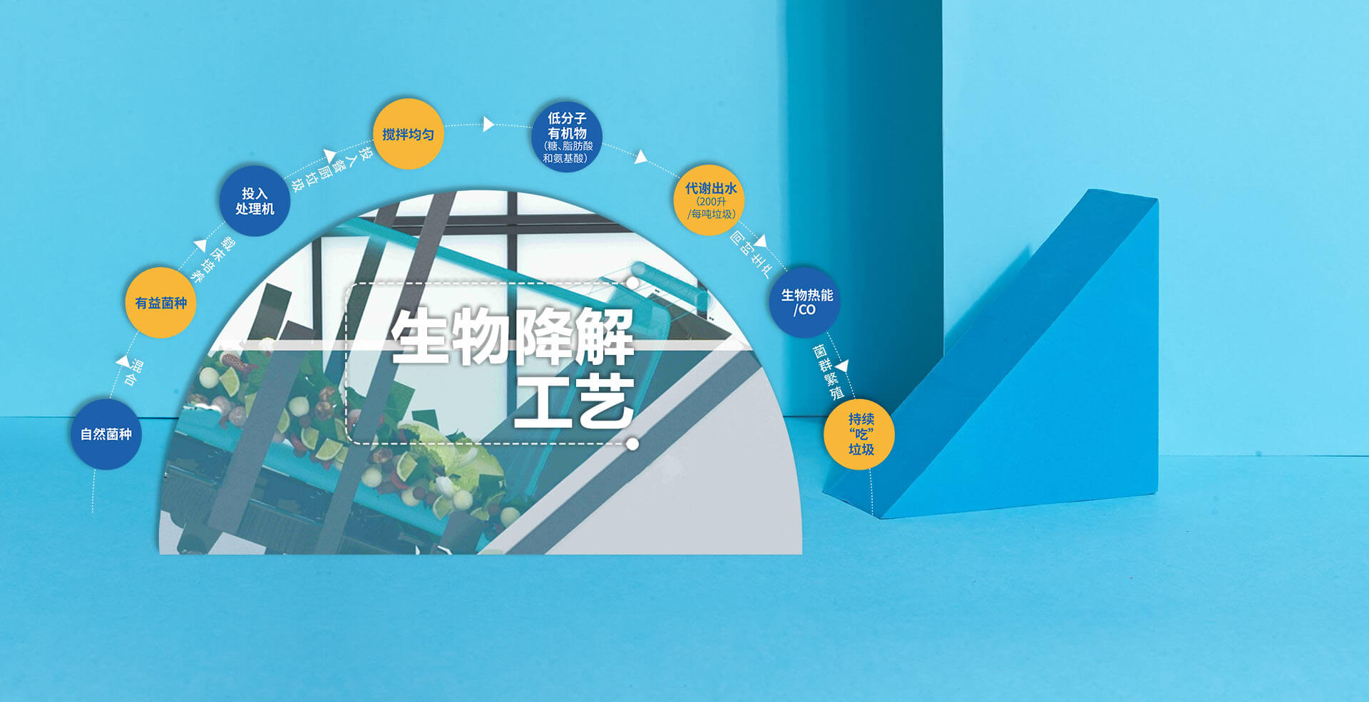 蓝月亮精准大全