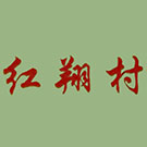 蓝月亮精准大全