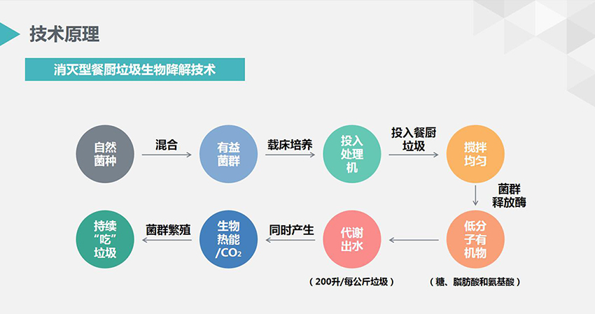 蓝月亮精准大全