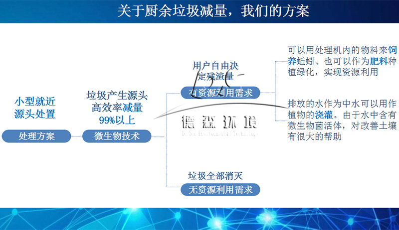 蓝月亮精准大全