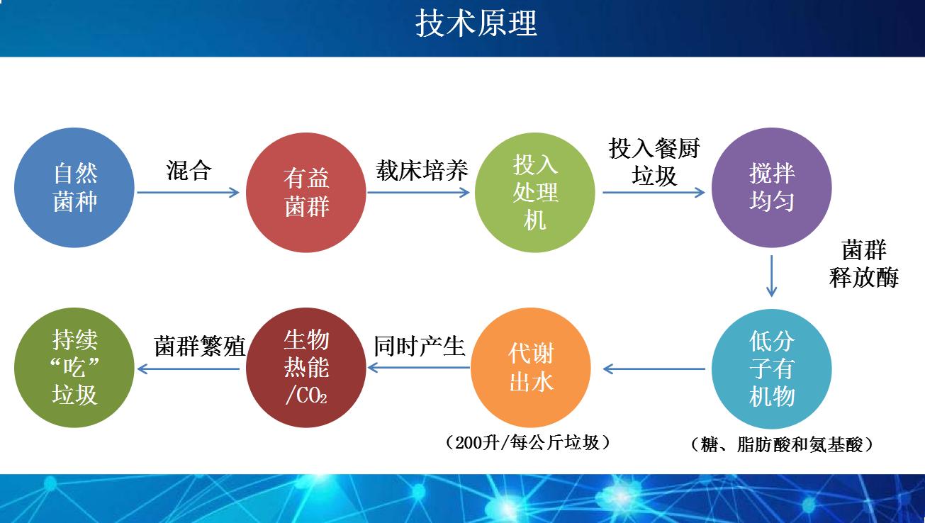 蓝月亮精准大全